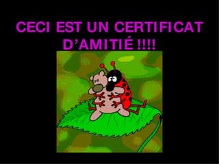 CECI EST UN CERTIFICAT D’AMITIÉ !!!! 