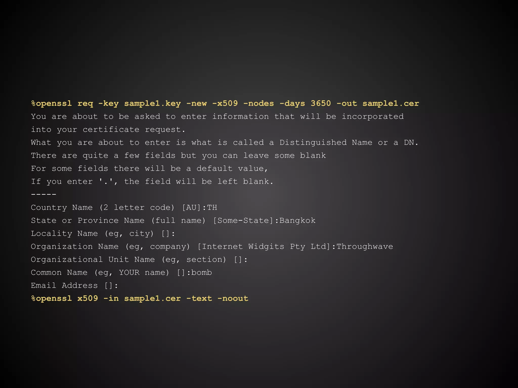%openssl req -key sample1.key -new -x509 -nodes -days 3650 -out sample1.cer
You are about to be asked to enter information that will be incorporated
into your certificate request.
What you are about to enter is what is called a Distinguished Name or a DN.
There are quite a few fields but you can leave some blank
For some fields there will be a default value,
If you enter '.', the field will be left blank.
-----
Country Name (2 letter code) [AU]:TH
State or Province Name (full name) [Some-State]:Bangkok
Locality Name (eg, city) []:
Organization Name (eg, company) [Internet Widgits Pty Ltd]:Throughwave
Organizational Unit Name (eg, section) []:
Common Name (eg, YOUR name) []:bomb
Email Address []:
%openssl x509 -in sample1.cer -text -noout
 