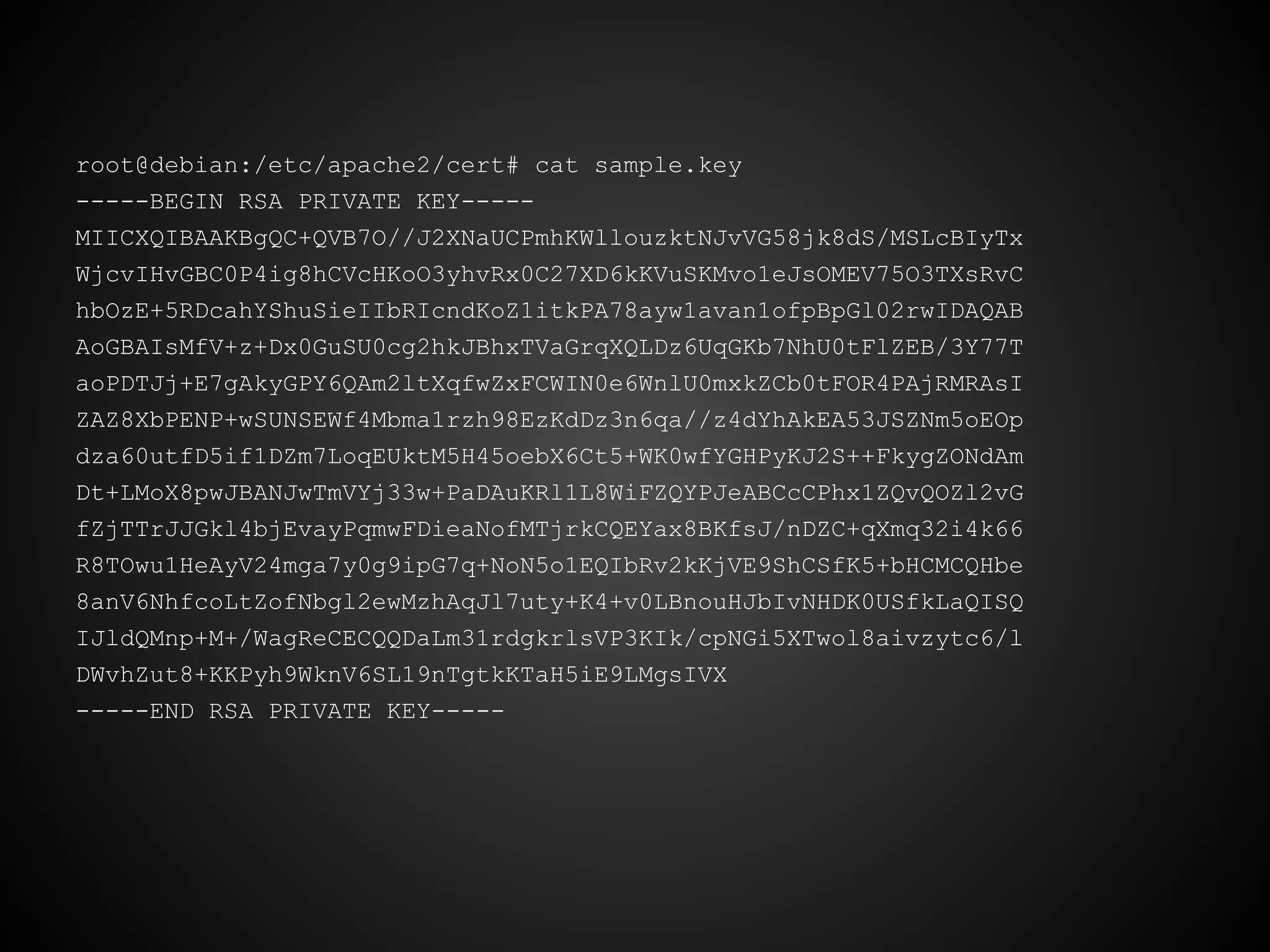 root@debian:/etc/apache2/cert# cat sample.key
-----BEGIN RSA PRIVATE KEY-----
MIICXQIBAAKBgQC+QVB7O//J2XNaUCPmhKWllouzktNJvVG58jk8dS/MSLcBIyTx
WjcvIHvGBC0P4ig8hCVcHKoO3yhvRx0C27XD6kKVuSKMvo1eJsOMEV75O3TXsRvC
hbOzE+5RDcahYShuSieIIbRIcndKoZ1itkPA78ayw1avan1ofpBpGl02rwIDAQAB
AoGBAIsMfV+z+Dx0GuSU0cg2hkJBhxTVaGrqXQLDz6UqGKb7NhU0tFlZEB/3Y77T
aoPDTJj+E7gAkyGPY6QAm2ltXqfwZxFCWIN0e6WnlU0mxkZCb0tFOR4PAjRMRAsI
ZAZ8XbPENP+wSUNSEWf4Mbma1rzh98EzKdDz3n6qa//z4dYhAkEA53JSZNm5oEOp
dza60utfD5if1DZm7LoqEUktM5H45oebX6Ct5+WK0wfYGHPyKJ2S++FkygZONdAm
Dt+LMoX8pwJBANJwTmVYj33w+PaDAuKRl1L8WiFZQYPJeABCcCPhx1ZQvQOZl2vG
fZjTTrJJGkl4bjEvayPqmwFDieaNofMTjrkCQEYax8BKfsJ/nDZC+qXmq32i4k66
R8TOwu1HeAyV24mga7y0g9ipG7q+NoN5o1EQIbRv2kKjVE9ShCSfK5+bHCMCQHbe
8anV6NhfcoLtZofNbgl2ewMzhAqJl7uty+K4+v0LBnouHJbIvNHDK0USfkLaQISQ
IJldQMnp+M+/WagReCECQQDaLm31rdgkrlsVP3KIk/cpNGi5XTwol8aivzytc6/l
DWvhZut8+KKPyh9WknV6SL19nTgtkKTaH5iE9LMgsIVX
-----END RSA PRIVATE KEY-----
 
