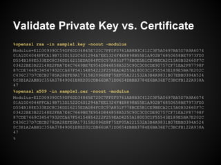 Validate Private Key vs. Certificate
%openssl rsa -in sample1.key -noout -modulus
Modulus=E1D309390C59DF6DD34845E720C7FF0F0761AB8B3C412C3F5A0697BA5D7A9A6074
01A1D04044FFCA19B713D1522C601294A7EE1324F4E8898B55E1A902B76850658BE7973FD0
D554B188E533EDC8C36DD16215EDA084FC0C97A851F778BCE5B1CE9BECA2C15A0B32660F7C
03422BE3B22148E2FBA7E4C7669BE7E954D844858A525C90C3C0CDE90757CF71EA2F87798F
87CDE7469C34547932CCA67F54154854222F259EAD4255A18003C1F55543E189E5BA7E202C
C436C37D7CECB278DA28EFE9A1731582096E8F75EF05A221532A3B4A9831B07EBBD394A524
0C3B1A2ABB1C356A37849061E8ED31CDB66DA71DD654DBBB3784E6BA36E7C3BCFB122A938A
47
%openssl x509 -in sample1.cer -noout -modulus
Modulus=E1D309390C59DF6DD34845E720C7FF0F0761AB8B3C412C3F5A0697BA5D7A9A6074
01A1D04044FFCA19B713D1522C601294A7EE1324F4E8898B55E1A902B76850658BE7973FD0
D554B188E533EDC8C36DD16215EDA084FC0C97A851F778BCE5B1CE9BECA2C15A0B32660F7C
03422BE3B22148E2FBA7E4C7669BE7E954D844858A525C90C3C0CDE90757CF71EA2F87798F
87CDE7469C34547932CCA67F54154854222F259EAD4255A18003C1F55543E189E5BA7E202C
C436C37D7CECB278DA28EFE9A1731582096E8F75EF05A221532A3B4A9831B07EBBD394A524
0C3B1A2ABB1C356A37849061E8ED31CDB66DA71DD654DBBB3784E6BA36E7C3BCFB122A938A
47
%
 