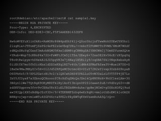 root@debian:/etc/apache2/cert# cat sample1.key
-----BEGIN RSA PRIVATE KEY-----
Proc-Type: 4,ENCRYPTED
DEK-Info: DES-EDE3-CBC,F5F5AAEEB1632EF8

Hw6oWVEYuX1inUkKo+RxW0Nr86W4pd0hY41j+Q0oo5hcjnFYwwNnhUUEwUYH5hrl
2lzgRia+JTPomFjSsP6r4eFE2zGeVbqCUXu/++mkoT2FhWWYTn9VWB/4MoM7WSdf
rdNQoSNuYqCGxxf3mArbNGMU5KkeIdXM8tgCRMHgSAIYBR0WkCj7OmHZVunmSQtm
+YRub+Wnp7ZcKRnP4x72O+FsWFtJCm5j1TSs/ZEey6+72xx0E2Xv56cE/rR5pgUq
T8o4tRwlpye+hS4ekA16JZ5pgVK3w7j4NaylH5Rily9/oqSBA7Sk1YNqzXebsAyH
0iiEtYX7mo5fh0icKbs1dDZOsKXqlRZ7v4th/1dMk4SFMaFAfew3V+WueiN7DS+G
1BxDe9MaJMHyZIv5H+O12Jd52RFQsMCDctmc4D+UIuY72R2xY1vxp3Ozb6G9nyaB
O60Pk4z5/P/XPLUGatrBi9r2/zlQXCwhDHS45PALLuO5vW3DaLzLfYT5TP4jE7Lz
Ib55JCOya87a3ZbnoQCHzoocfC8rXd5qZMrQsJZmlkCp8NYNzH+9hOC1esLXm+3G
3BSyn1lWe7TQtRgX9OKyM8ZTklNy1AoYI3bipnUP2Z1OawxtZuE/vVdDzyG3++dB
zdSKFSgpnvw3fvv9vCEHaYRrXIuELTBZbHMvduhe/gpBejNCmU+g0SXoXOFQj9ud
awI8IQplXX0zBdHpJZrP3Dv/9/4TEKRMFZnhq4wXrXqRt+mmlothEoEW1kloOAZX
BRNg+ojwp+vmiwWTu4SGF46c+a9PE2rPAyEWTqKYmVzemRohA5Q/rQ==
-----END RSA PRIVATE KEY-----
 