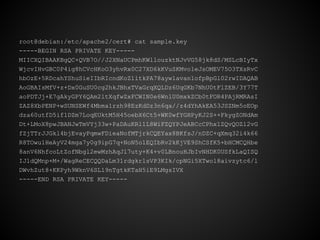 root@debian:/etc/apache2/cert# cat sample.key
-----BEGIN RSA PRIVATE KEY-----
MIICXQIBAAKBgQC+QVB7O//J2XNaUCPmhKWllouzktNJvVG58jk8dS/MSLcBIyTx
WjcvIHvGBC0P4ig8hCVcHKoO3yhvRx0C27XD6kKVuSKMvo1eJsOMEV75O3TXsRvC
hbOzE+5RDcahYShuSieIIbRIcndKoZ1itkPA78ayw1avan1ofpBpGl02rwIDAQAB
AoGBAIsMfV+z+Dx0GuSU0cg2hkJBhxTVaGrqXQLDz6UqGKb7NhU0tFlZEB/3Y77T
aoPDTJj+E7gAkyGPY6QAm2ltXqfwZxFCWIN0e6WnlU0mxkZCb0tFOR4PAjRMRAsI
ZAZ8XbPENP+wSUNSEWf4Mbma1rzh98EzKdDz3n6qa//z4dYhAkEA53JSZNm5oEOp
dza60utfD5if1DZm7LoqEUktM5H45oebX6Ct5+WK0wfYGHPyKJ2S++FkygZONdAm
Dt+LMoX8pwJBANJwTmVYj33w+PaDAuKRl1L8WiFZQYPJeABCcCPhx1ZQvQOZl2vG
fZjTTrJJGkl4bjEvayPqmwFDieaNofMTjrkCQEYax8BKfsJ/nDZC+qXmq32i4k66
R8TOwu1HeAyV24mga7y0g9ipG7q+NoN5o1EQIbRv2kKjVE9ShCSfK5+bHCMCQHbe
8anV6NhfcoLtZofNbgl2ewMzhAqJl7uty+K4+v0LBnouHJbIvNHDK0USfkLaQISQ
IJldQMnp+M+/WagReCECQQDaLm31rdgkrlsVP3KIk/cpNGi5XTwol8aivzytc6/l
DWvhZut8+KKPyh9WknV6SL19nTgtkKTaH5iE9LMgsIVX
-----END RSA PRIVATE KEY-----
 
