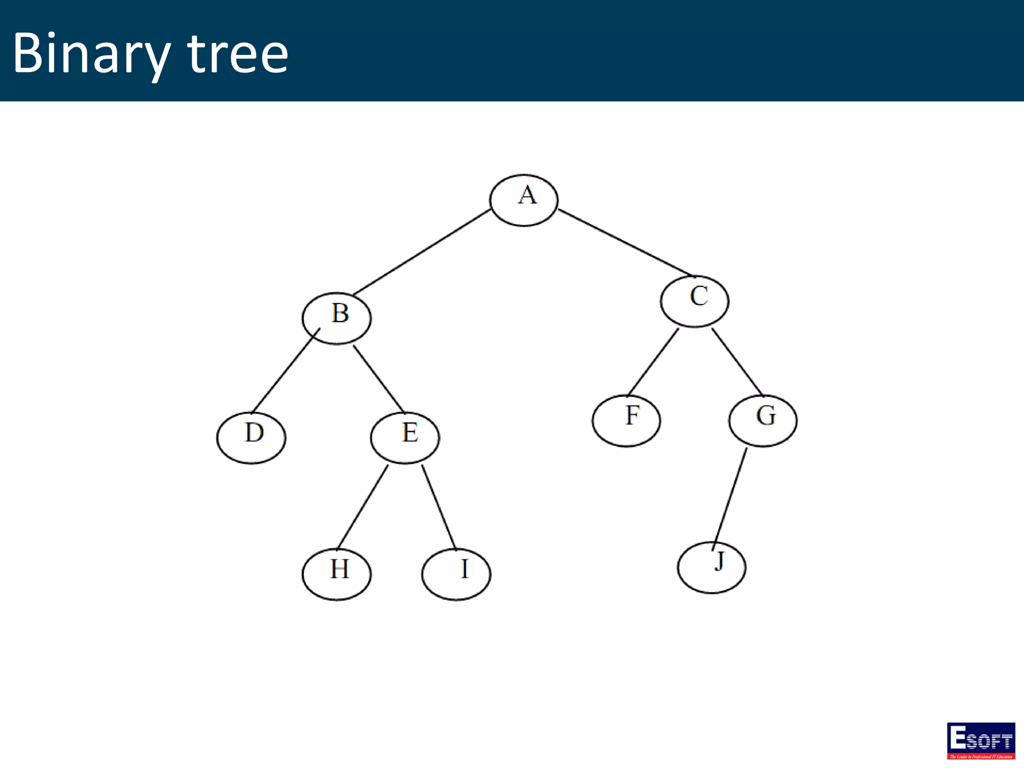 Binary tree
 