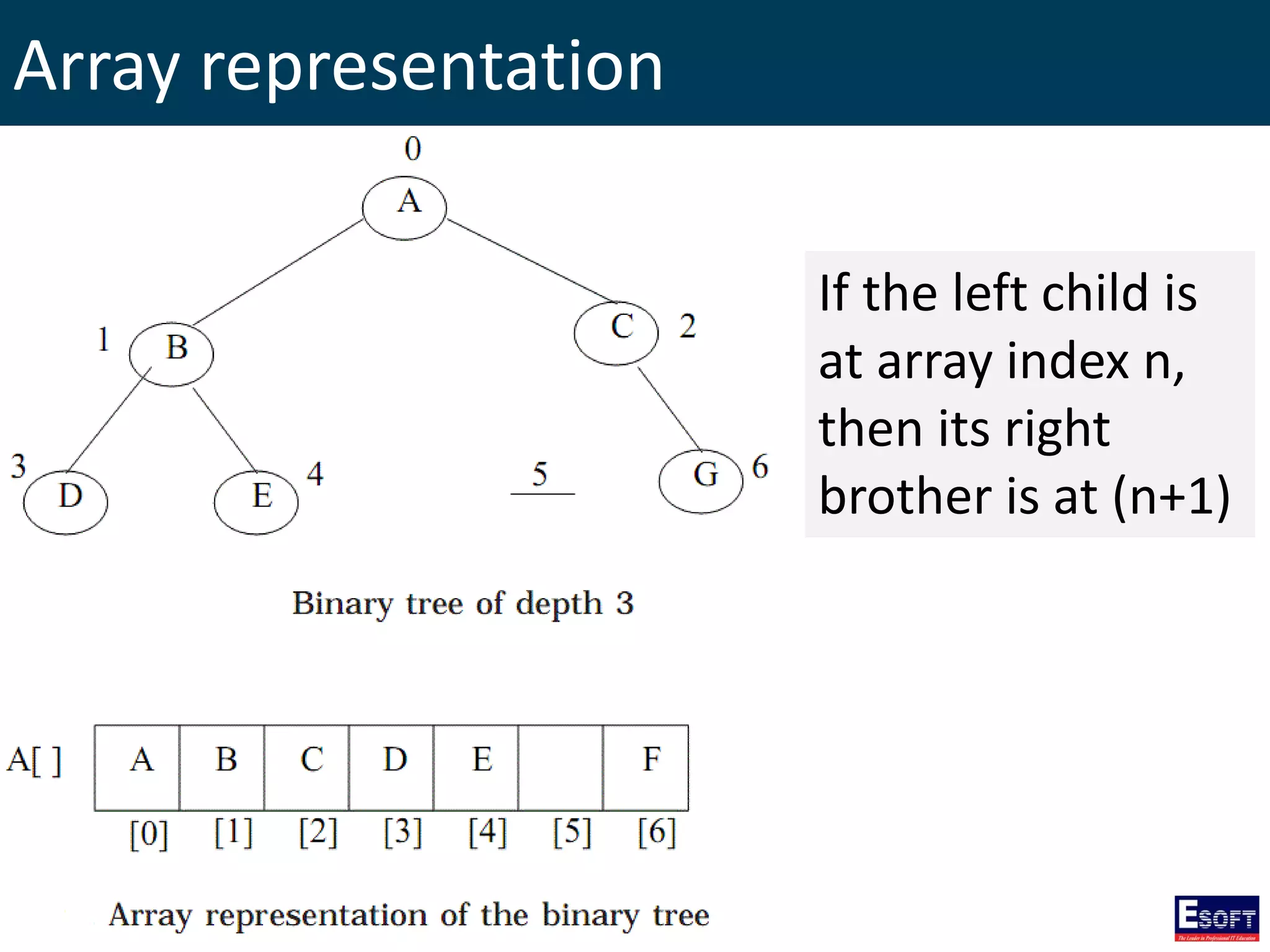 Array representation
If the left child is
at array index n,
then its right
brother is at (n+1)
 