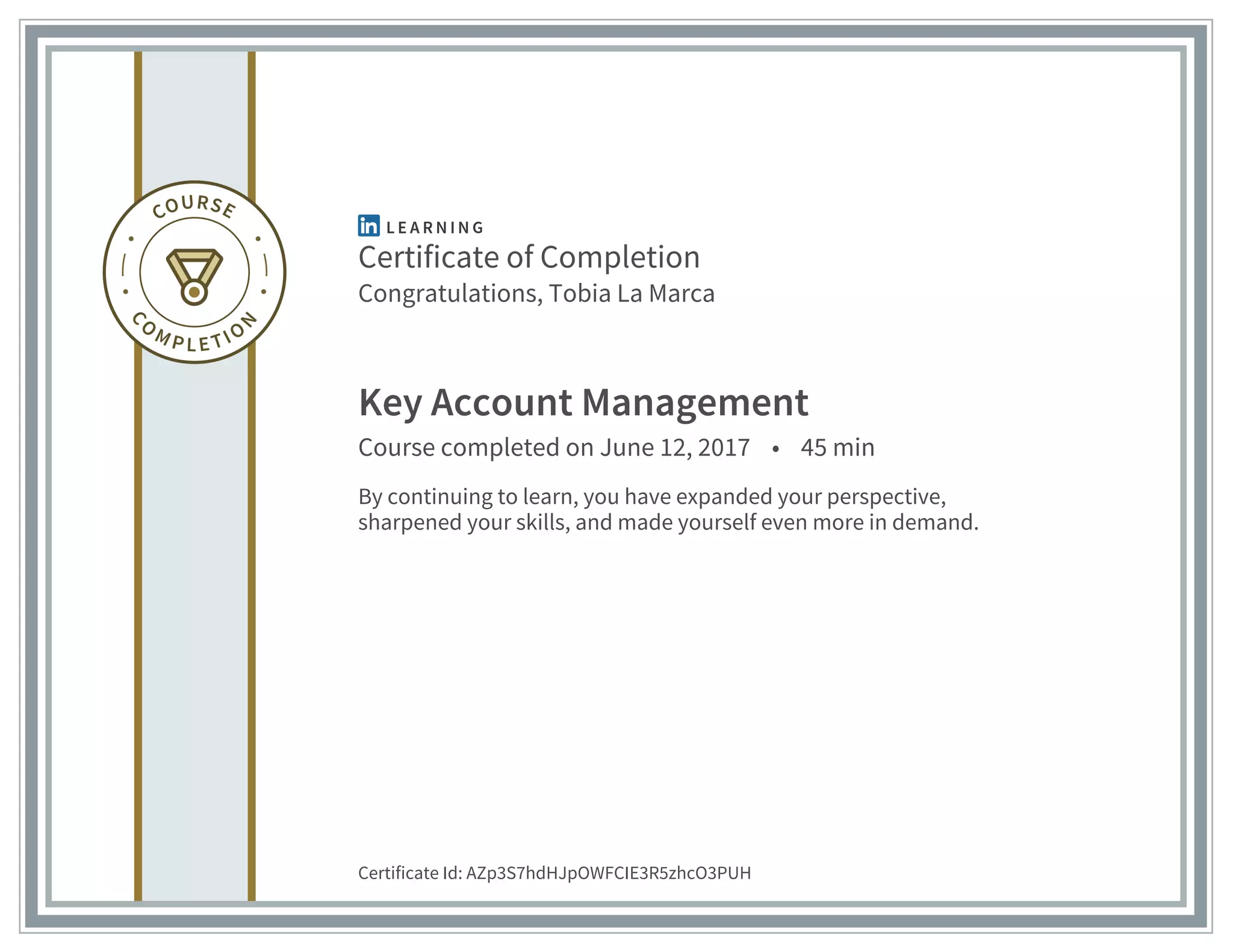 Key Account Management | PDF