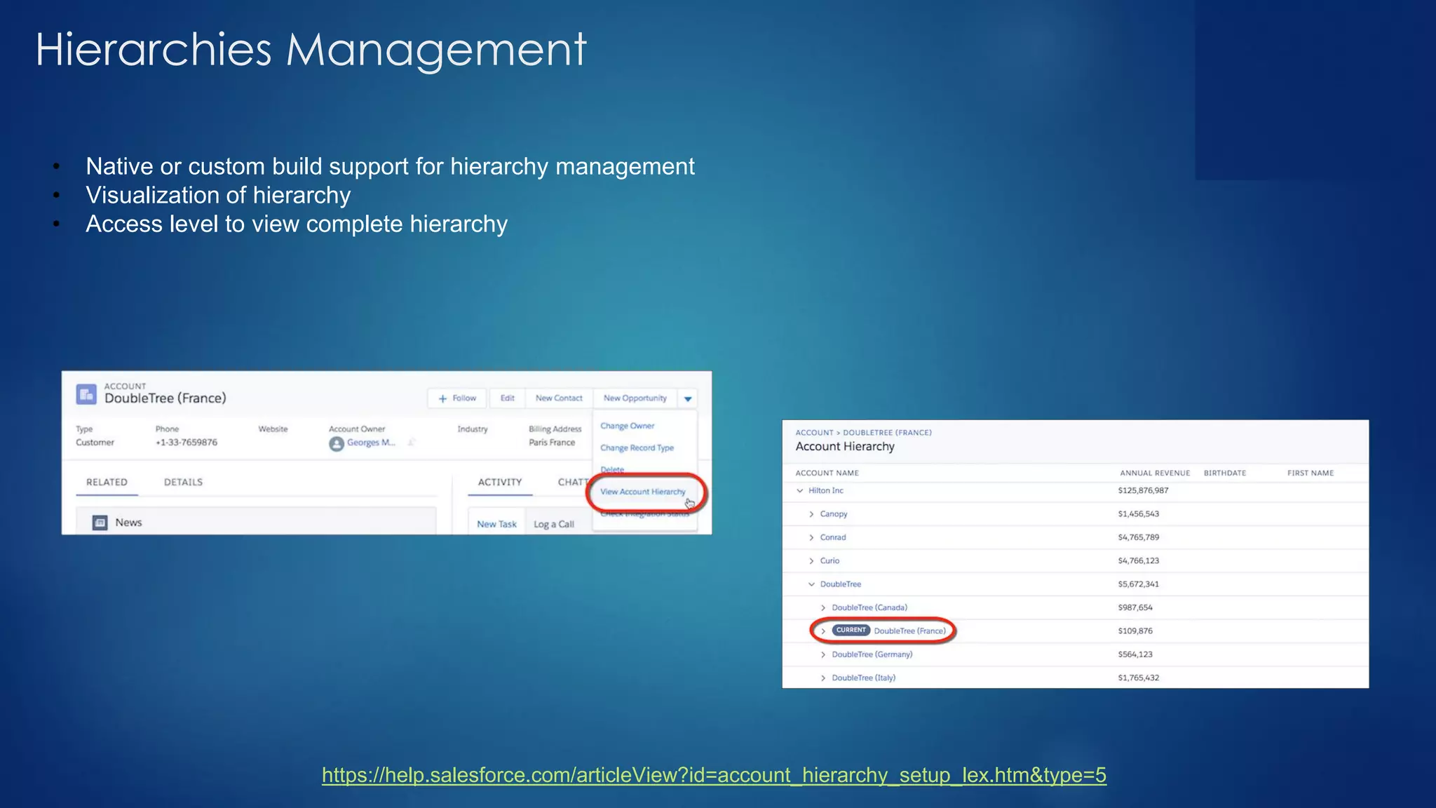 Hierarchies Management
https://help.salesforce.com/articleView?id=account_hierarchy_setup_lex.htm&type=5
• Native or custom build support for hierarchy management
• Visualization of hierarchy
• Access level to view complete hierarchy
 