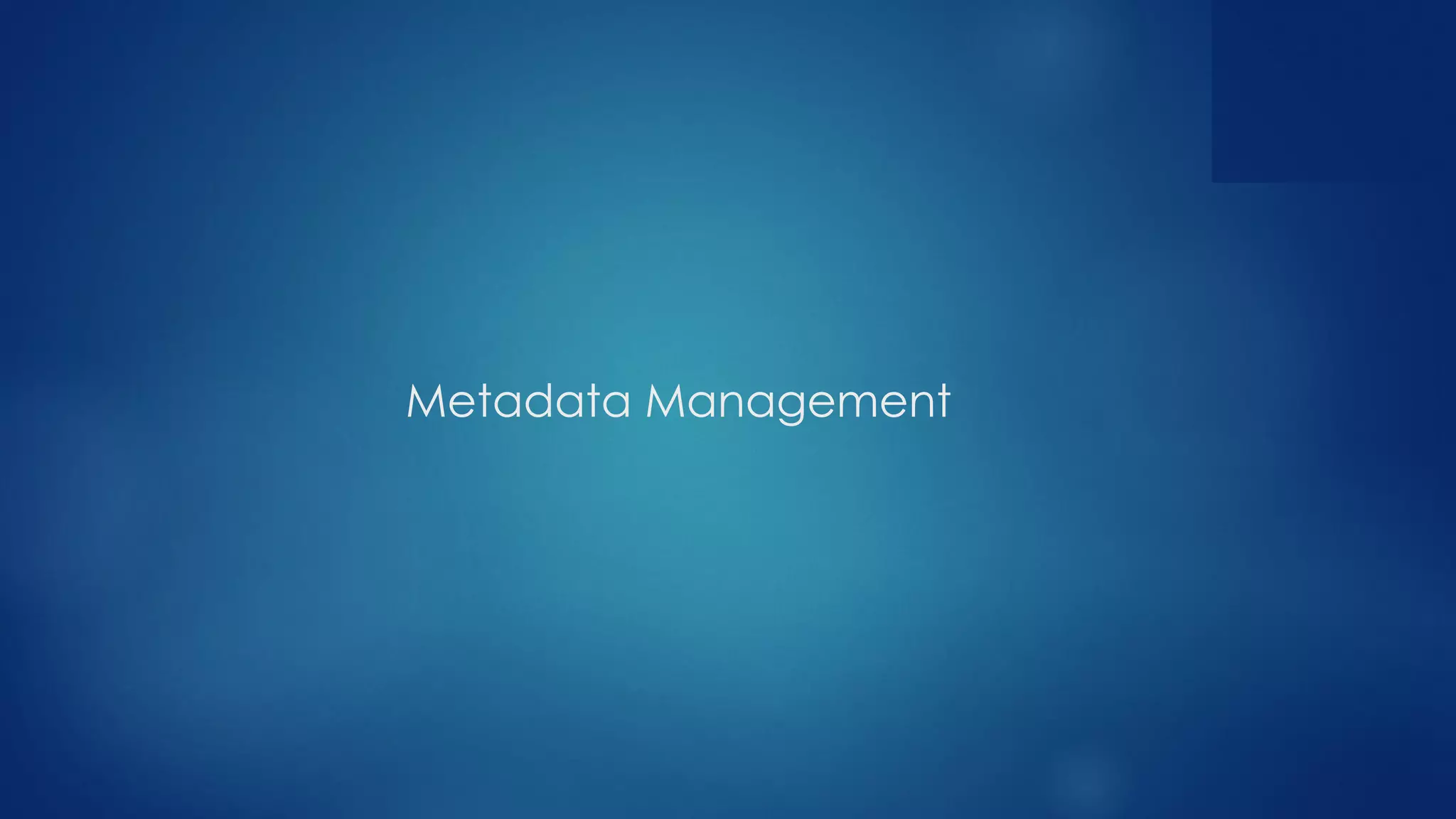 Metadata Management
 