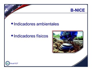 Visual 8.27
BB--NICENICE
wIndicadores ambientales
wIndicadores físicos
 