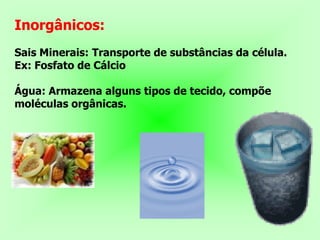 Inorgânicos:
Sais Minerais: Transporte de substâncias da célula.
Ex: Fosfato de Cálcio

Água: Armazena alguns tipos de tecido, compõe
moléculas orgânicas.
 