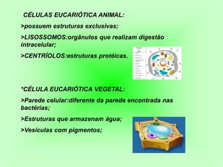 *CÉLULAS EUCARIÓTICA ANIMAL:
>possuem estruturas exclusivas;
>LISOSSOMOS:orgânulos que realizam digestão
intracelular;
>CENTRÍOLOS:estruturas protéicas.




*CÉLULA EUCARIÓTICA VEGETAL:
>Parede celular:diferente da parede encontrada nas
bactérias;
>Estruturas que armazenam água;
>Vesículas com pigmentos;
 