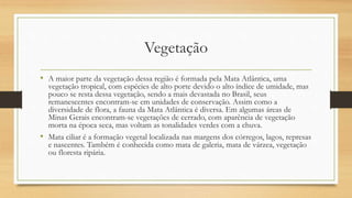 Vegetação
• A maior parte da vegetação dessa região é formada pela Mata Atlântica, uma
vegetação tropical, com espécies de alto porte devido o alto índice de umidade, mas
pouco se resta dessa vegetação, sendo a mais devastada no Brasil, seus
remanescentes encontram-se em unidades de conservação. Assim como a
diversidade de flora, a fauna da Mata Atlântica é diversa. Em algumas áreas de
Minas Gerais encontram-se vegetações de cerrado, com aparência de vegetação
morta na época seca, mas voltam as tonalidades verdes com a chuva.
• Mata ciliar é a formação vegetal localizada nas margens dos córregos, lagos, represas
e nascentes. Também é conhecida como mata de galeria, mata de várzea, vegetação
ou floresta ripária.
 