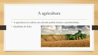 A agricultura
• A agricultura no sudeste tem elevado padrão técnico e produtividade;
• Qualidade do Solo;
 