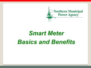 Smart Meter
Basics and Benefits
 