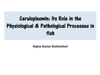 Ceruloplasmin: Its Role in the
Physiological & Pathological Processes in
fish
Rajive Kumar Brahmchari
 