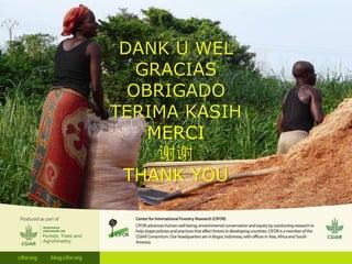 Inclusiveness, equity and sustainability: New ideas needed for informal timber operators in Sub-Saharan Africa