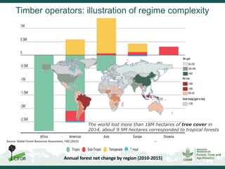 Inclusiveness, equity and sustainability: New ideas needed for informal timber operators in Sub-Saharan Africa