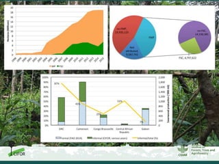 Inclusiveness, equity and sustainability: New ideas needed for informal timber operators in Sub-Saharan Africa