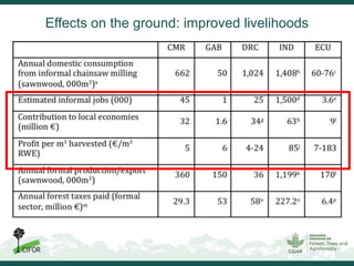 Inclusiveness, equity and sustainability: New ideas needed for informal timber operators in Sub-Saharan Africa