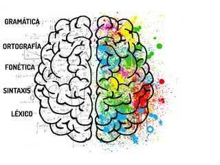 GRAMÁTICA
ORTOGRAFÍA
FONÉTICA
SINTAXIS
LÉXICO
 