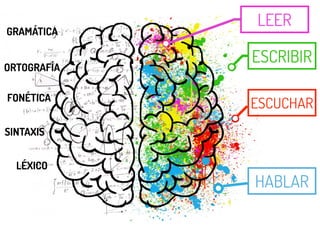 ESCRIBIR
LEER
ESCUCHAR
HABLAR
GRAMÁTICA
ORTOGRAFÍA
FONÉTICA
SINTAXIS
LÉXICO
 
