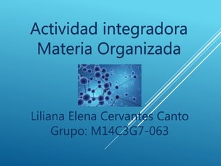 Liliana Elena Cervantes Canto
Grupo: M14C3G7-063
 
