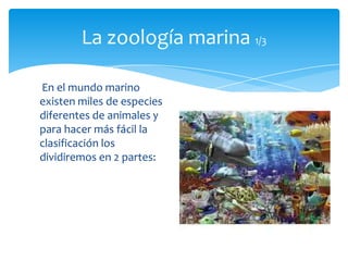 La zoología marina 1/3

En el mundo marino
existen miles de especies
diferentes de animales y
para hacer más fácil la
clasificación los
dividiremos en 2 partes:
 