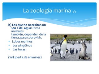 La zoología marina 3/3

b) Los que no necesitan un
  100 % del agua: Estos
  animales
  también, dependen de la
  tierra, para sobrevivir.
   Lobos marinos
   Los pingüinos
   Las focas.

(Wikipedia de animales)
 