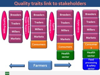 MillingQuality
+cooking,eating,
sensoryqualities
+Nutritional
quality
Grainsafety
Breeders
Traders
Millers
Markets
Breeders
Traders
Millers
Markets
Consumer
s
Health
sector
Food
processing
& safety
sector
Breeders
Traders
Millers
Markets
Consumers
Breeders
Traders
Millers
Markets
Consumers
Health
sector
Farmers
 