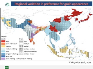 Calingacion et al., 2014
 