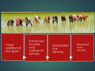Value
addition of
rice grain
Enhanced
income
and
welfare of
farmers
Sustainable
rice
farming
Enhanced
food
security
 