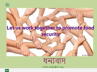 ধন্যবাদ
Vivek.singh@irri.org
 