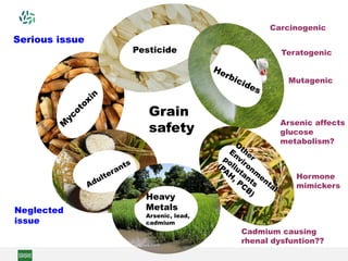 Arsenic affects
glucose
metabolism?
Neglected
issue
Serious issue
Cadmium causing
rhenal dysfuntion??
Carcinogenic
Pesticide
Heavy
Metals
Arsenic, lead,
cadmium
Grain
safety
Teratogenic
Mutagenic
Hormone
mimickers
 