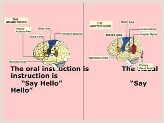 The oral instruction is  The visual instruction is  “ Say Hello”  “Say Hello” 
