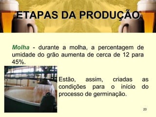 ETAPAS DA PRODUÇÃO

Molha - durante a molha, a percentagem de
umidade do grão aumenta de cerca de 12 para
45%.

               Estão,   assim,   criadas   as
               condições para o início     do
               processo de germinação.

                                           20
 
