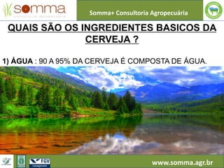 Somma+ Consultoria Agropecuária
www.somma.agr.br
QUAIS SÃO OS INGREDIENTES BASICOS DA
CERVEJA ?
1) ÁGUA : 90 A 95% DA CERVEJA É COMPOSTA DE ÁGUA.
 