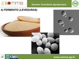 Somma+ Consultoria Agropecuária
www.somma.agr.br
4) FERMENTO (LEVEDURAS)
 