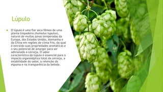 Lúpulo
 O lúpulo é uma flor seca fêmea de uma
planta trepadeira (humulus lupulus),
natural de muitas zonas temperadas da
Europa, dos Estados Unidos, Alemanha e
da China em regiões de clima frio, da qual
é extraído suas propriedades aromáticas e
o seu potencial de amargor para ser
adicionado a cerveja. O sabor
característico do lúpulo é essencial para o
impacto organoléptico total da cerveja, a
estabilidade do sabor, a retenção da
espuma e na transparência da bebida.
 
