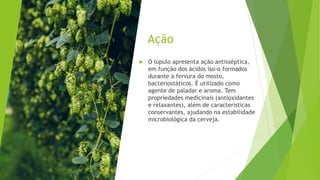 Ação
 O lúpulo apresenta ação antisséptica,
em função dos ácidos iso-α formados
durante a fervura do mosto,
bacteriostáticos. É utilizado como
agente de paladar e aroma. Tem
propriedades medicinais (antioxidantes
e relaxantes), além de características
conservantes, ajudando na estabilidade
microbiológica da cerveja.
 