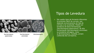 Tipos de Levedura
 São usados tipos de fermento diferentes
no processo fabril da cerveja, que
depende exclusivamente do tipo de
cerveja a ser produzido. Podem ser
leveduras de baixa fermentação
(Saccharomyces pastorianus), de alta
fermentação (Saccharomyces cerevisiae)
ou leveduras selvagens, como
as Brettanomyces, Candida, já bem
conhecida dos cervejeiros.
Saccharomyces
pastorianus
BrettanomycesSaccharomyces
cerevisiae
 