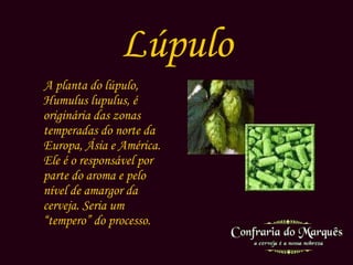 Lúpulo A planta do lúpulo,  Humulus lupulus , é originária das zonas temperadas do norte da Europa, Ásia e América. Ele é o responsável por parte do aroma e pelo nível de amargor da cerveja. Seria um “tempero” do processo.  