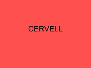CERVELL
 