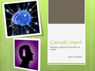 Cervell i ment Teories sobre el cervell i la ment       Marta Madero 