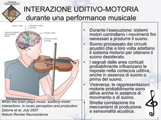INTERAZIONE UDITIVO-MOTORIA
durante una performance musicale
• Durante l’esecuzione: sistemi
motori controllano i movimenti fini
necessari a produrre il suono.
• Suono processato dai circuiti
acustici che a loro volta adattano
il sistema motorio per ottenere il
suono desiderato.
• I segnali dalle aree corticali
probabilmente influenzano le
risposte nella corteccia uditiva,
anche in assenza di suono o
prima del suono;
• Viceversa, le rappresentazioni
motorie probabilmente sono
attive anche in assenza di
movimento o di suono.
• Stretta correlazione tra
meccanismi di produzione
e sensorialità acustica.
When the brain plays music: auditory-motor
interactions in music perception and production
Zatorre et al, July 2007
Nature Review Neuroscience
 