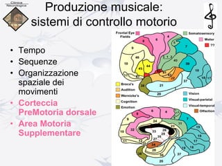 Produzione musicale:
sistemi di controllo motorio
• Tempo
• Sequenze
• Organizzazione
spaziale dei
movimenti
• Corteccia
PreMotoria dorsale
• Area Motoria
Supplementare
 