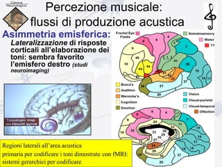 Percezione musicale:
flussi di produzione acustica
Asimmetria emisferica:
Lateralizzazione di risposte
corticali all’elaborazione dei
toni: sembra favorito
l’emisfero destro (studi
neuroimaging)
Regioni laterali all’area acustica
primaria per codificare i toni dimostrate con fMRI:
sistemi gerarchici per codificare
 
