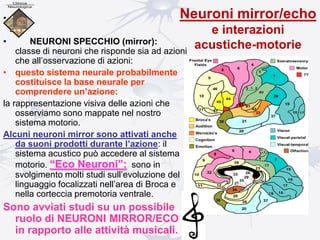 Neuroni mirror/echo
e interazioni
acustiche-motorie
•
• NEURONI SPECCHIO (mirror):
classe di neuroni che risponde sia ad azioni
che all’osservazione di azioni:
• questo sistema neurale probabilmente
costituisce la base neurale per
comprendere un’azione:
la rappresentazione visiva delle azioni che
osserviamo sono mappate nel nostro
sistema motorio.
Alcuni neuroni mirror sono attivati anche
da suoni prodotti durante l’azione: il
sistema acustico può accedere al sistema
motorio. “Eco Neuroni”: sono in
svolgimento molti studi sull’evoluzione del
linguaggio focalizzati nell’area di Broca e
nella corteccia premotoria ventrale.
Sono avviati studi su un possibile
ruolo di NEURONI MIRROR/ECO
in rapporto alle attività musicali.
 