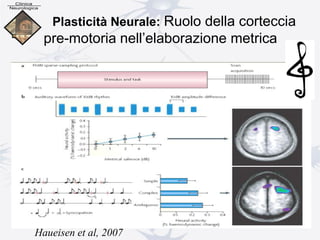 Plasticità Neurale: Ruolo della corteccia
pre-motoria nell’elaborazione metrica
Haueisen et al, 2007
 