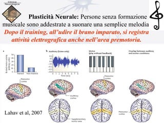Plasticità Neurale: Persone senza formazione
musicale sono addestrate a suonare una semplice melodia.
Dopo il training, all’udire il brano imparato, si registra
attività elettrografica anche nell’area premotoria.
Lahav et al, 2007
 