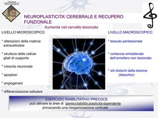 NEUROPLASTICITA’ CEREBRALE E RECUPERO
FUNZIONALE
Aumenta nel cervello lesionato
LIVELLO MICROSCOPICO
* alterazioni della matrice
extracellulare
* struttura delle cellule
gliali di supporto
* crescita neuronale
* apoptosi
* angiogenesi
* differenziazione cellulare
LIVELLO MACROSCOPICO
* tessuto perilesionale
* corteccia omolaterale
dell’emisfero non lesionato
* siti distanti dalla lesione
(diaschisi)
ESERCIZIO RIABILITATIVO PRECOCE
può attivare le aree di ipereccitabilità plasticità-dipendente
provocando una riorganizzazione corticale
 