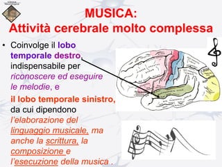 MUSICA:
Attività cerebrale molto complessa
• Coinvolge il lobo
temporale destro,
indispensabile per
riconoscere ed eseguire
le melodie, e
il lobo temporale sinistro,
da cui dipendono
l’elaborazione del
linguaggio musicale, ma
anche la scrittura, la
composizione e
l’esecuzione della musica .
 